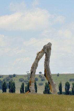 The giant jaw-like sculpture in the grounds of Mona Farm, just outside Braidwood.