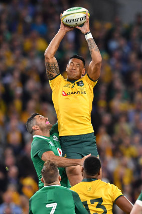High flyer: Israel Folau's prowess in the air is pronounced, even on the international stage.