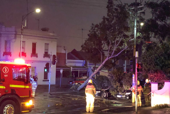 The wild weather brought a tree down on the corner of Spencer and Hawke streets in Melbourne's north.