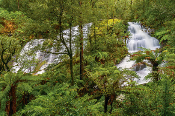 The Triplet Falls in Beech Forest, Great Otway National Park, are among Car’s favourites. 