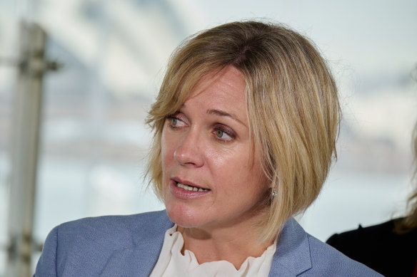 Zali Steggall says the controversial industrial reforms are an attempt to unionise workplaces.