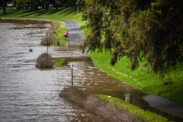 The swollen Yarra River covers a bike track on Monday.