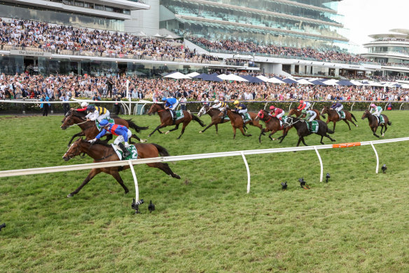 Cox Plate winner Anamoe (centre of frame) couldn’t run a place in Flemington’s Champions Stakes.