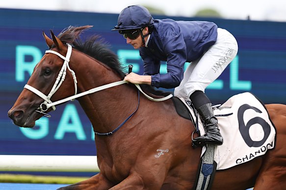 James McDonald rides Wodeton to an easy win at Rosehill on debut in January.