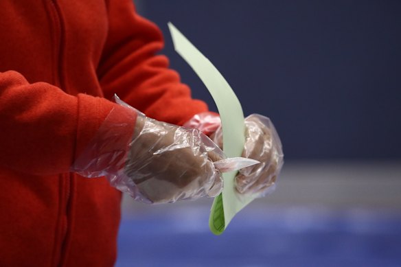 A South Korean woman wearing plastic gloves casts her vote in Seoul.
