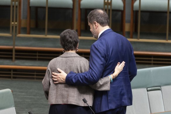Labor MP Maria Vamvakinou and Husic, who both spoke out about their concerns for Palestinians, in the lower house on Thursday.