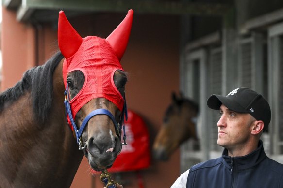 Trainer Nick Ryan is hoping Red Aces can land his first group 1.