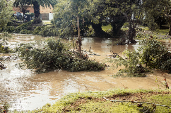 The overflowing Traralgon Creek on Friday. Residents are being told to evacuate before nightfall as more heavy rain is expected to fall on Friday.