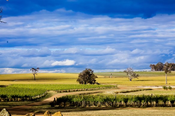 Riesling rules at Frankland Estate, Great Southern, Western Australia.