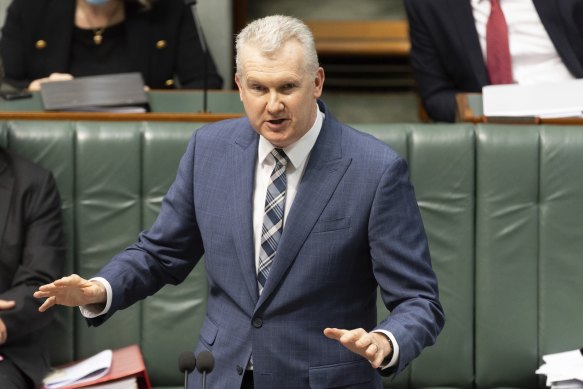 Workplace Relations Minister Tony Burke during question time on Wednesday.