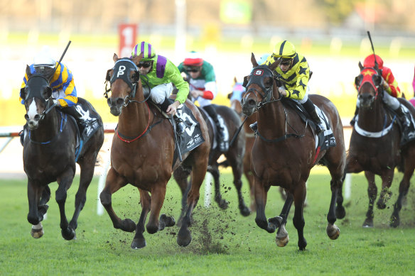 An eight-race card at Tamworth wraps up the working week.