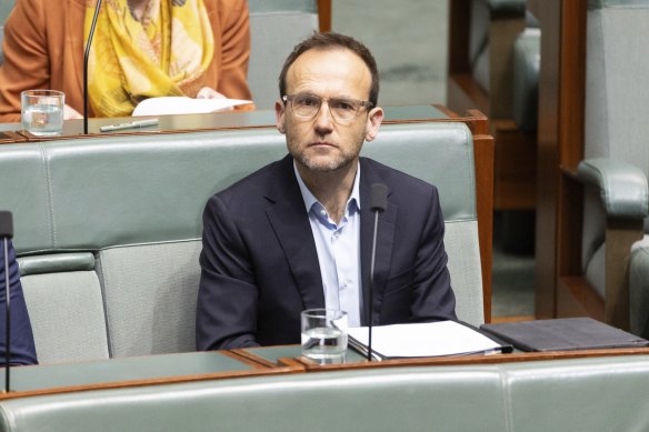 Greens leader Adam Bandt during question time.