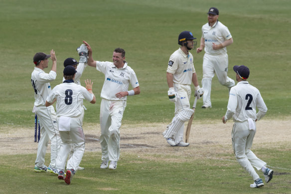 Peter Siddle and his Victorian teammates celebrate the key wicket of Daniel Solway at the SCG on Monday.