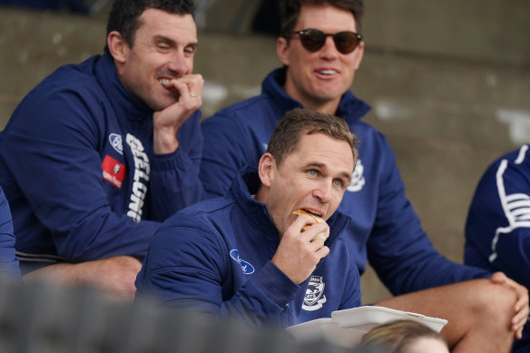 Hungry: Geelong captain Joel Selwood watches on during his side's Marsh Series match against Essendon in Colac.