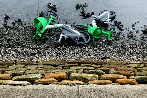 A photo of Lime Bikes abandoned in Hawthorne Canal in Leichhardt –  one of many Sydney suburbs where the company now operates.
