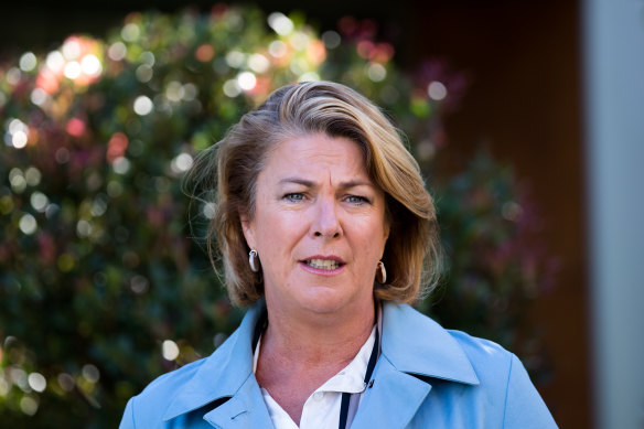 NSW Water Minister Melinda Pavey has been pushing for changes to the rules on flood plain harvesting.
