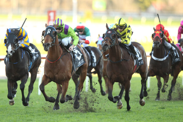 Racing returns to Tamworth on Tuesday.