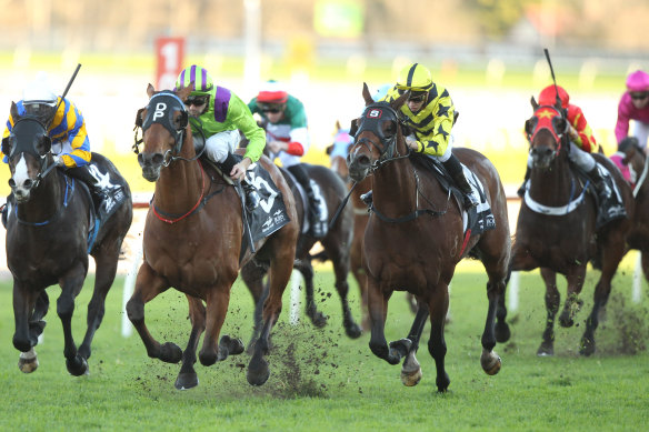 A seven-race card is scheduled for Tamworth on Tuesday, with a host of Scone gallopers.
