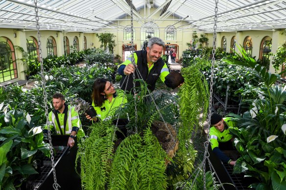 Horticultural asset supervisor Sam Davis preparing the tropical display with his team at the conservatory. 