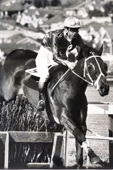 Ray Neville takes the last jump to win the Broadmeadows Steeplechase at Moonee Valley in 1966.