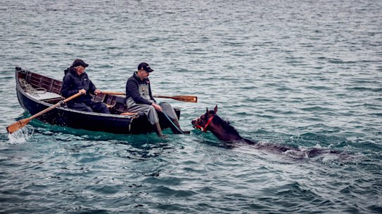 Trainer Shane Jackson works Victoria Derby hopeful King Snitz in Warrnambool’s Lady Bay.