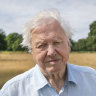 Not even London lockdown could stop David Attenborough's new series