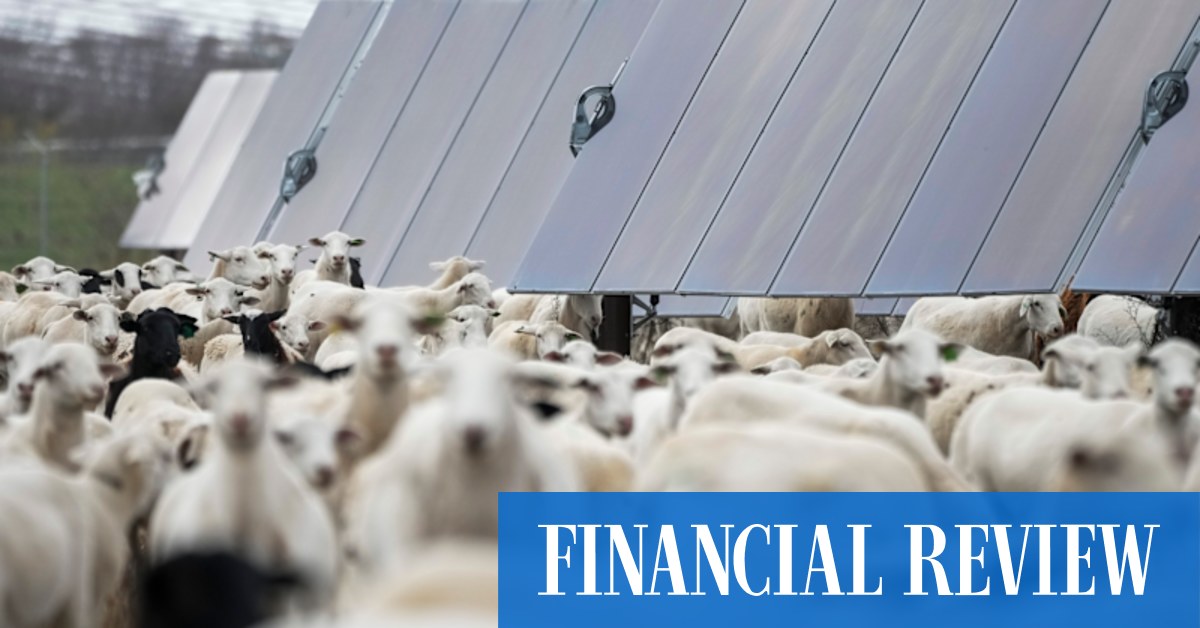 afr.com - Andrew Tillett - Macquarie-backed Rela blitzes UK farmers with cash-for-lease deals