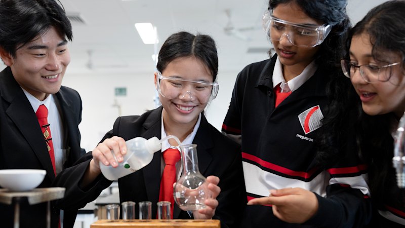 What the HSC test markers are looking for in your answers