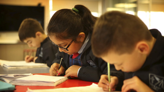 Future of NAPLAN questioned as results show no change over 10 years