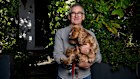 Brad Banducci was appointed chief executive of TEG in March. He is pictured in Redfern with his dog Juno.  