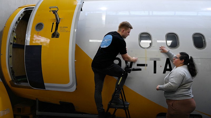 Could sharks hold the secret to cutting flight costs?