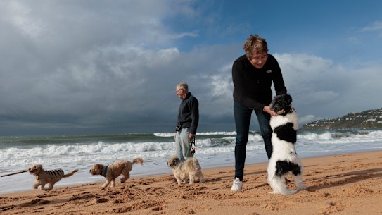 Michele Robertson, pictured with her dog Maddie at North Palm Beach, said Sydney’s northern beaches lacked green open space, but had plenty of foreshore.