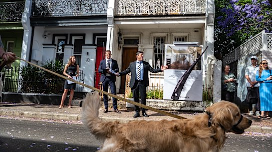 House prices are tipped to fall nationally by 18 per cent this year and next before a modest recovery in 2024.