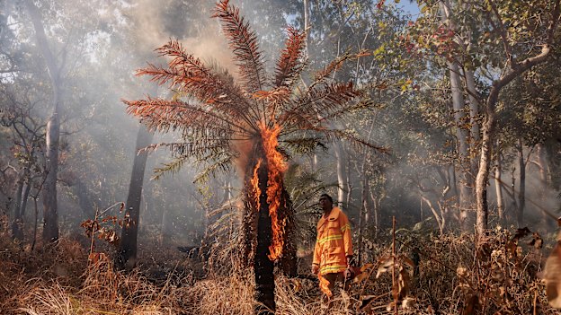 Gunggandji Land and Sea Ranger Justin Keyes takes part in cultural burning on Gunggandji Land near Yarrabah.