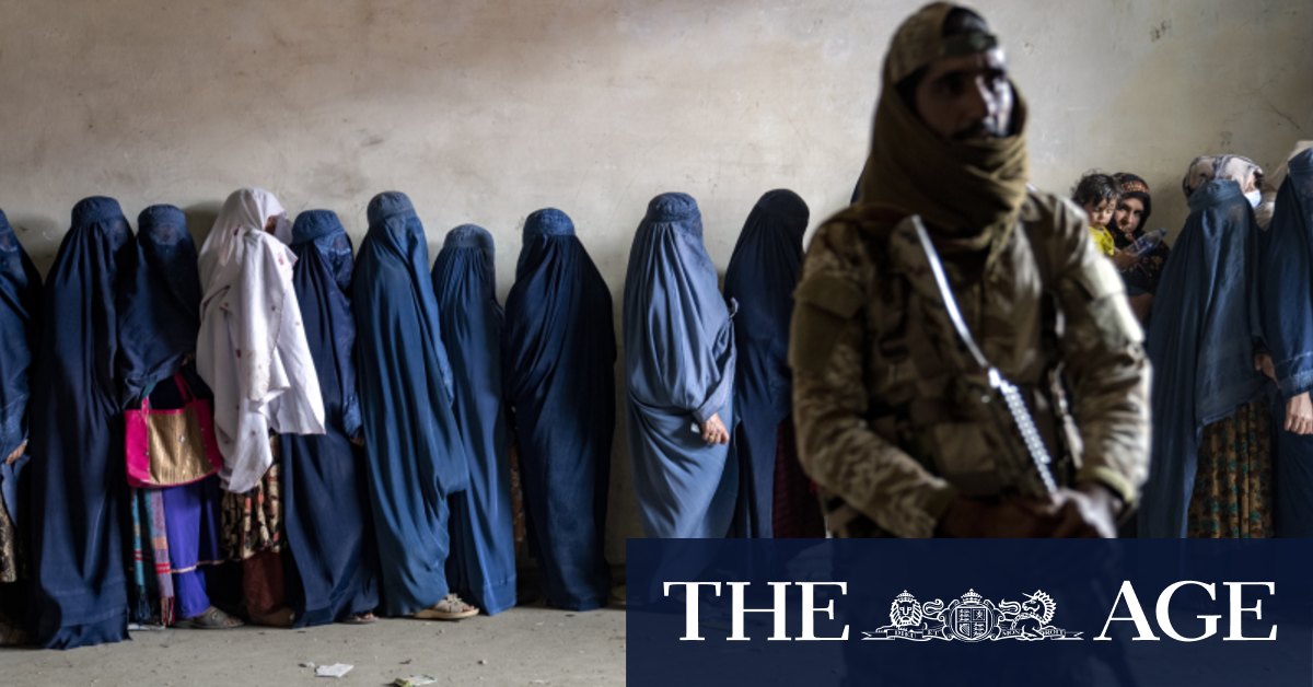 The Afghans is an empathic look at life for women under the Taliban