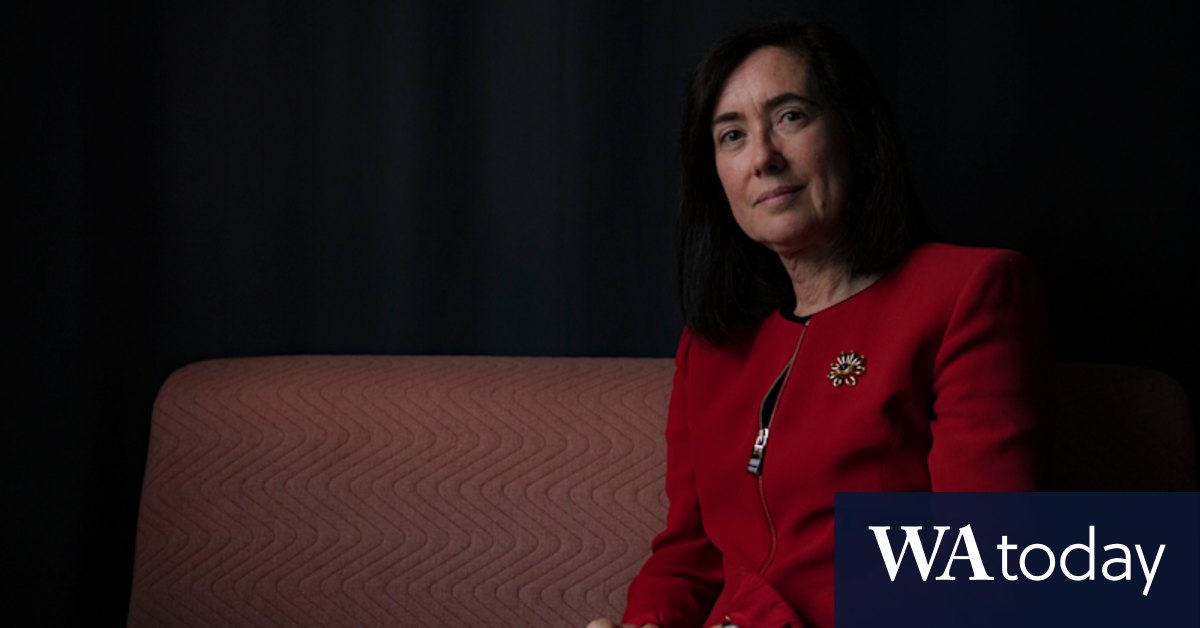 'I have faced men shouting': New ACCC chief brings empathy after facing down bullies - Vimarsana News
