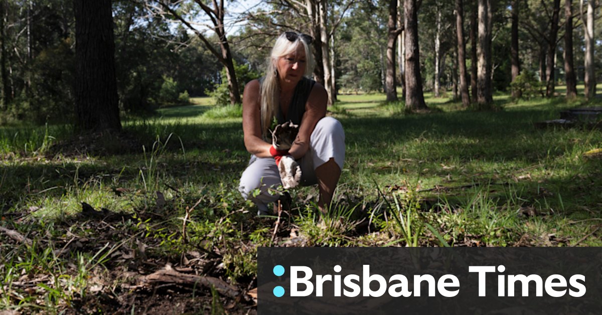 'The bugs, the smell, the sheer deluge': Locals alarmed by increased flooding at cemetery - Vimarsana News