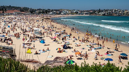 It really is great: Bondi Beach.