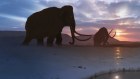 Colossal Biosciences claims sufficient herds of woolly mammoth could mitigate climate change by recreating the lost Arctic grasslands of the Ice Age.