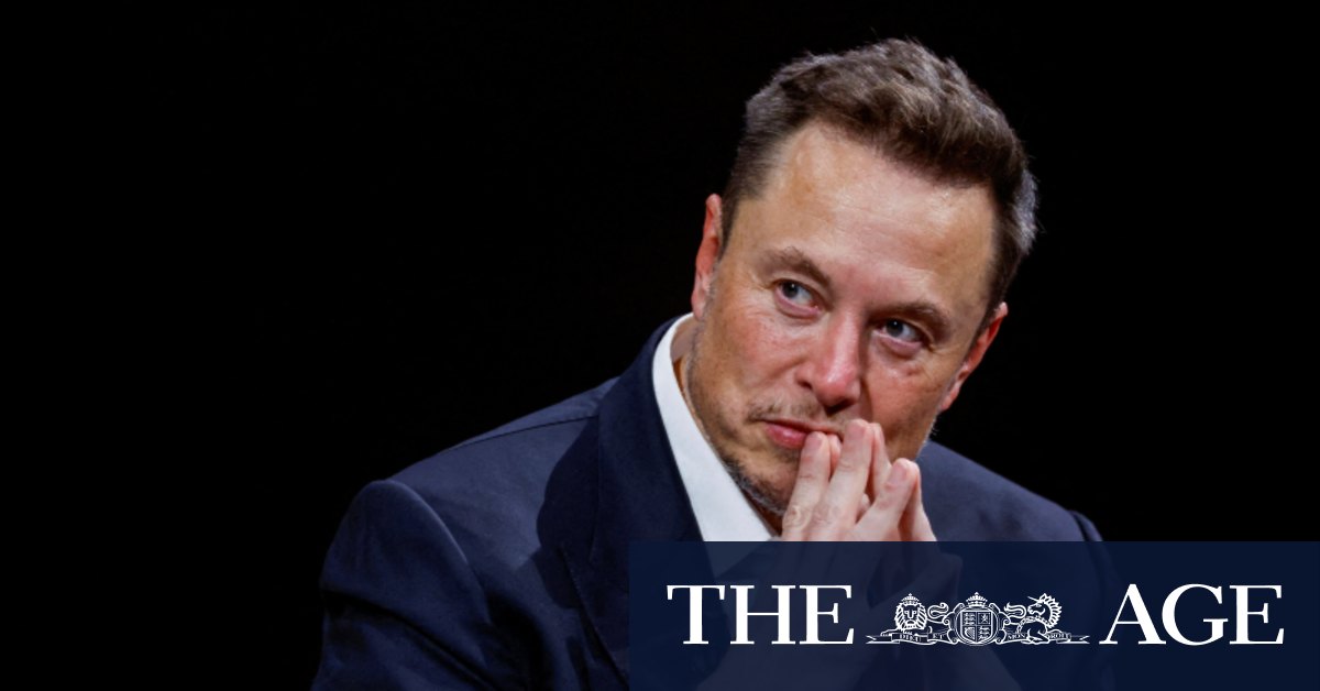 New Elon Musk biography as plodding and humourless as the man himself