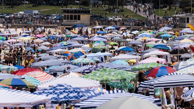 Sun umbrella sydney outlet
