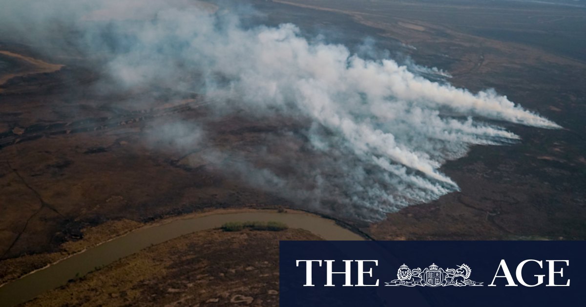 COP26 Glasgow summit: UN to sign global deforestation pact - Vimarsana News