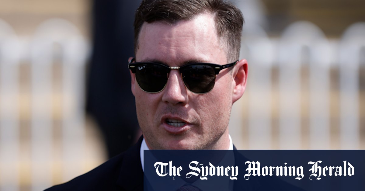 Hidden talent: Doyle to put promising colt to test at Canterbury