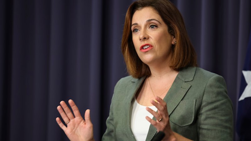 As teens flee to new apps to avoid social media ban, Wells says she’ll ban those too