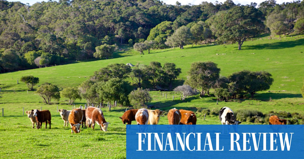 Australian farmers are winning the trade wars in 2026