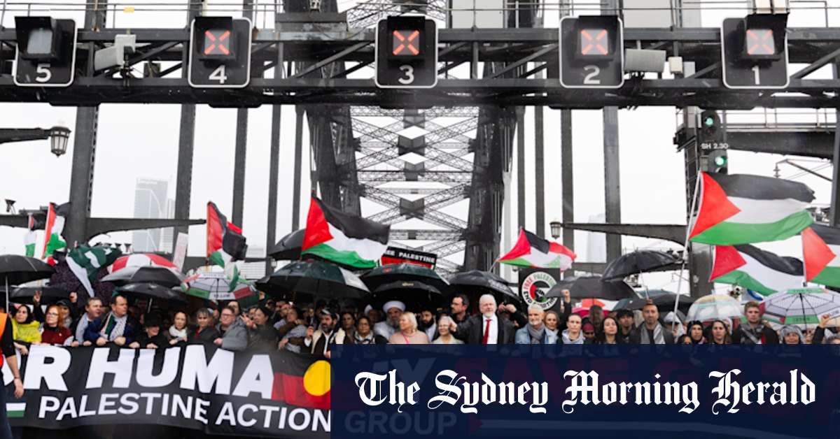 ‘Monumental’: 90,000 halt city with march across Harbour Bridge