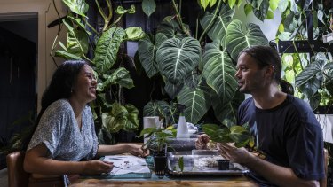 Alicia Qian and her partner Nige Rannard tend to plants in the living room of their Rockdale home.