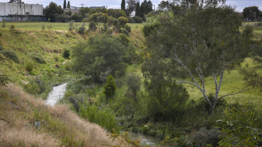 The Merri Creek in Fawkner with the site in the background.