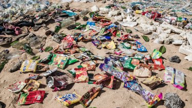 Dr Forrest warned plastic was causing huge damage to oceans.