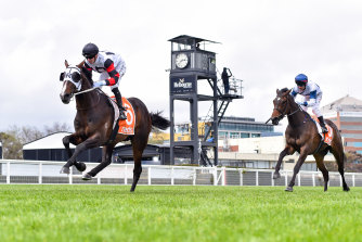 Gunstock takes the Neds Classic for Mick Price at Caulfield earlier this month.
